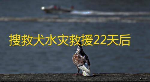 暗区突围辅助发卡网五岳阅卷平台